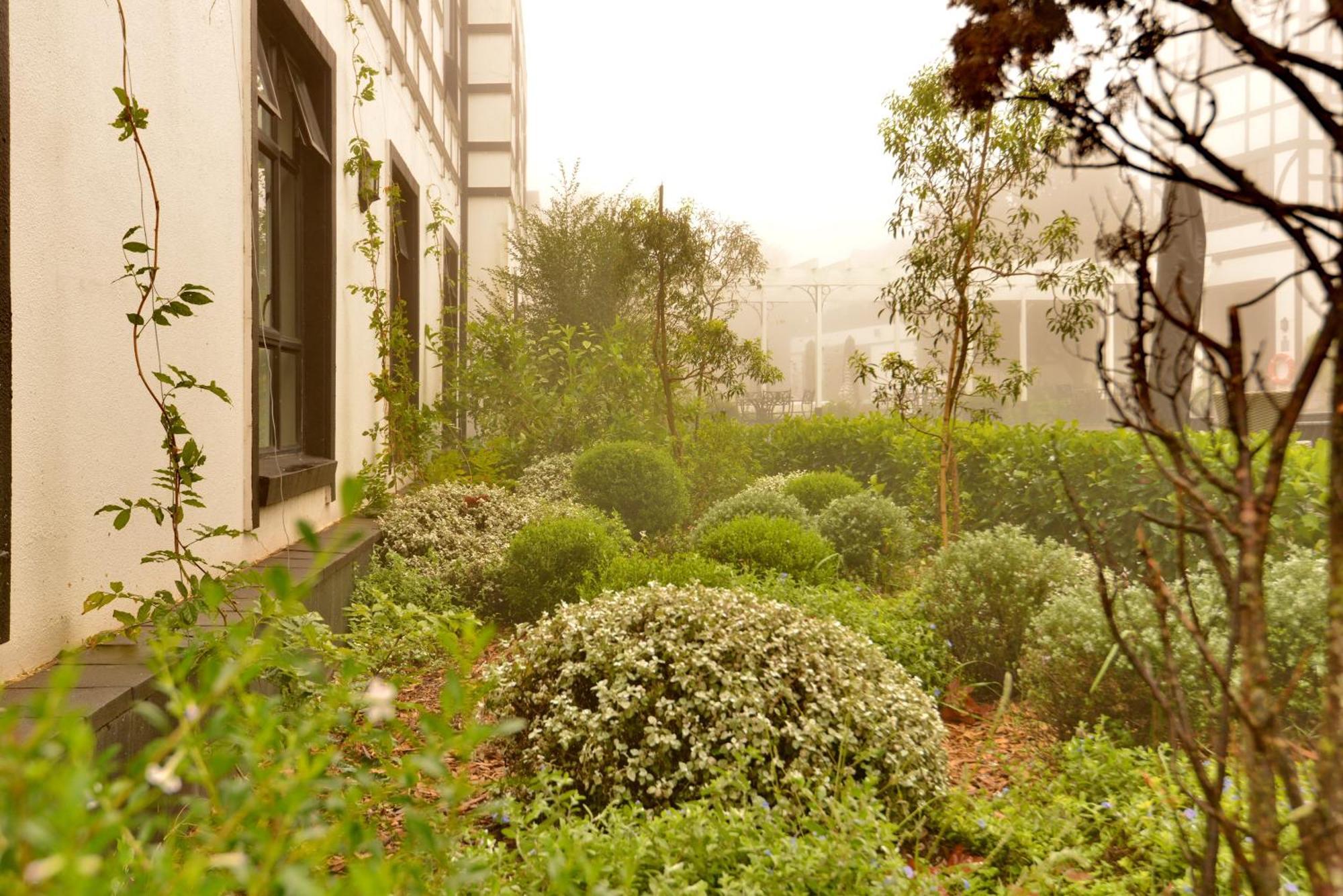 Anew Hotel Hilton Pietermaritzburg 外观 照片